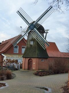IMG_20210122_170300.jpg