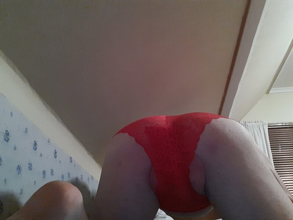 16113441899098171858436607462949.jpg - Palciusia