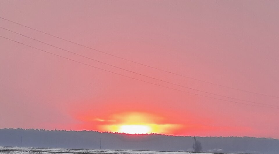 20210123_073005.jpg - Robiiii69