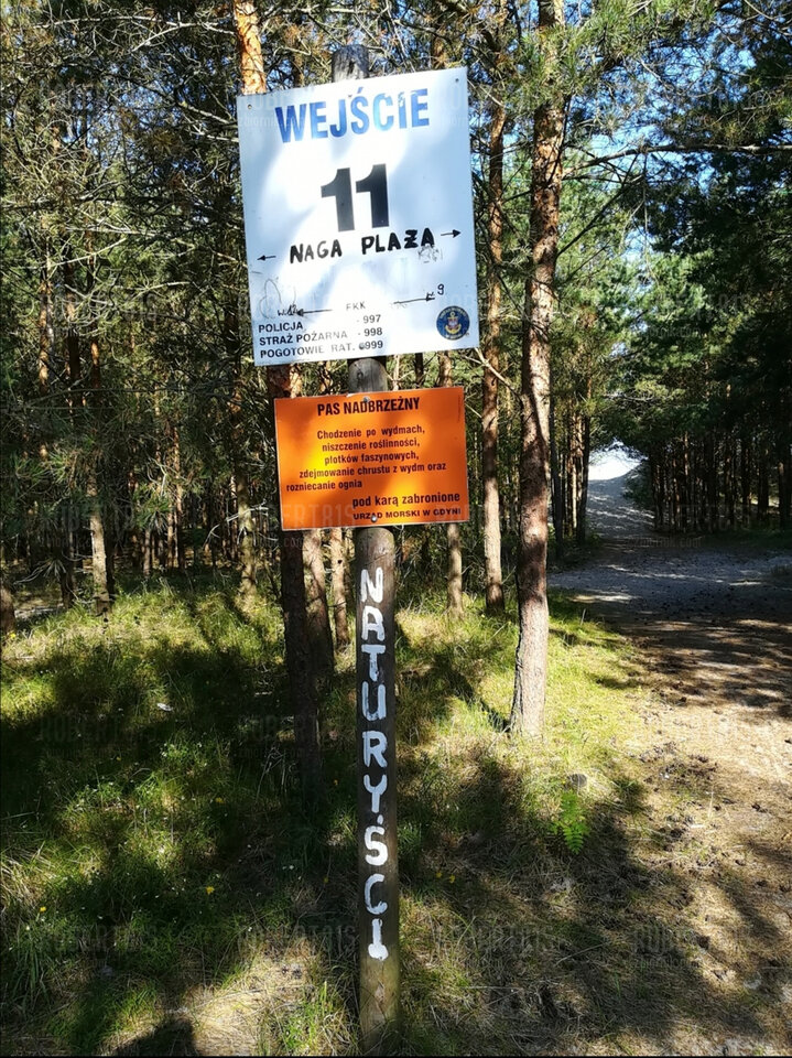 35 - Robert81s