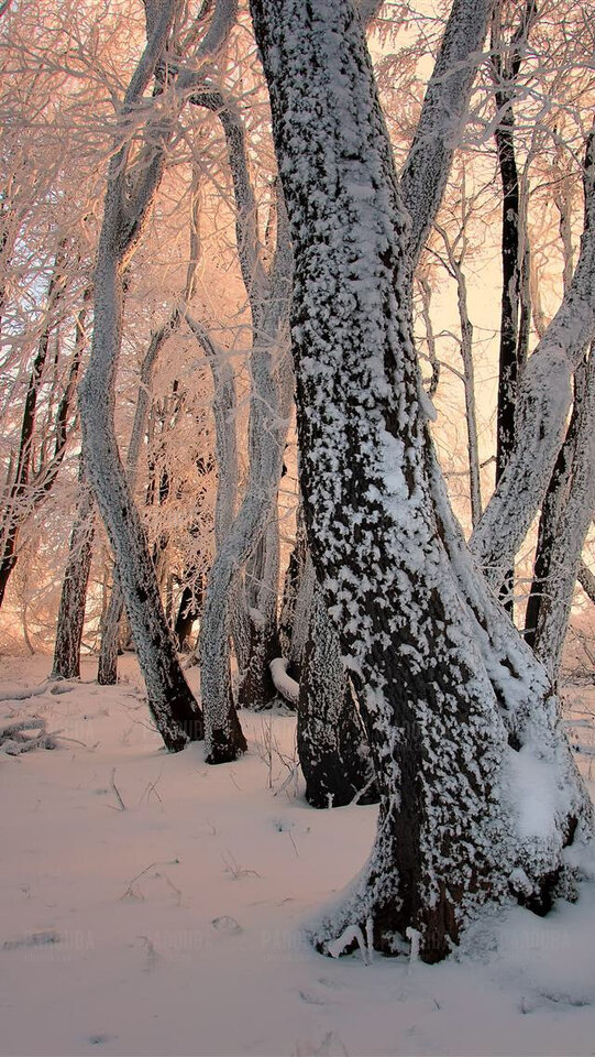 IMG_0780.JPG - PanQUBA