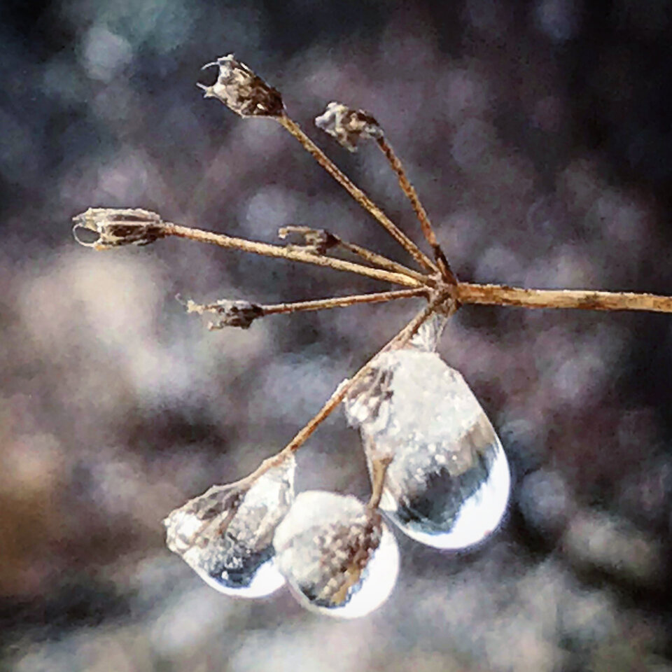 3EBE7B4E-93A4-4F60-9FF0-8DA3535C76ED.jpeg - Mekagojiranogyakushu