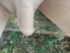 IMG_20200701_190025.jpg