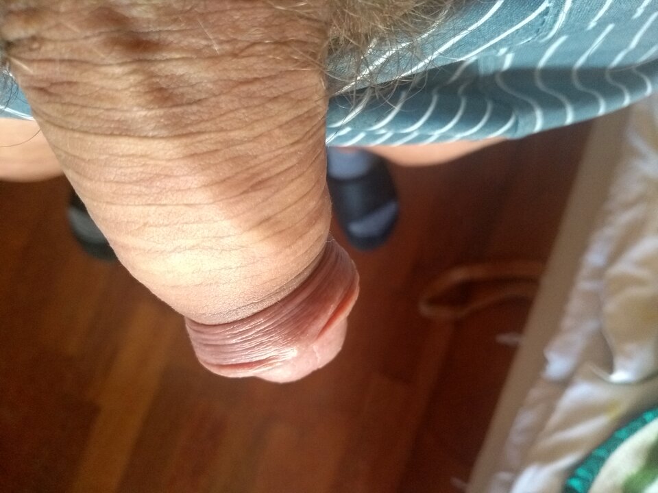 kutas 1.jpg - sylwek7800