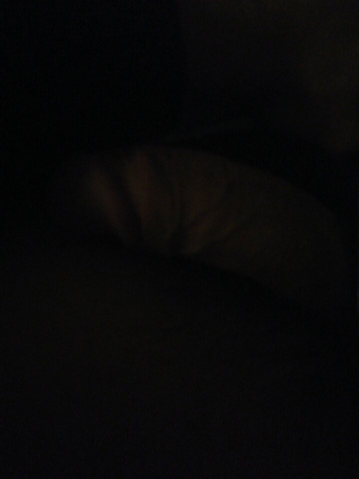 1611528089354258950334623060232.jpg - Golenioww