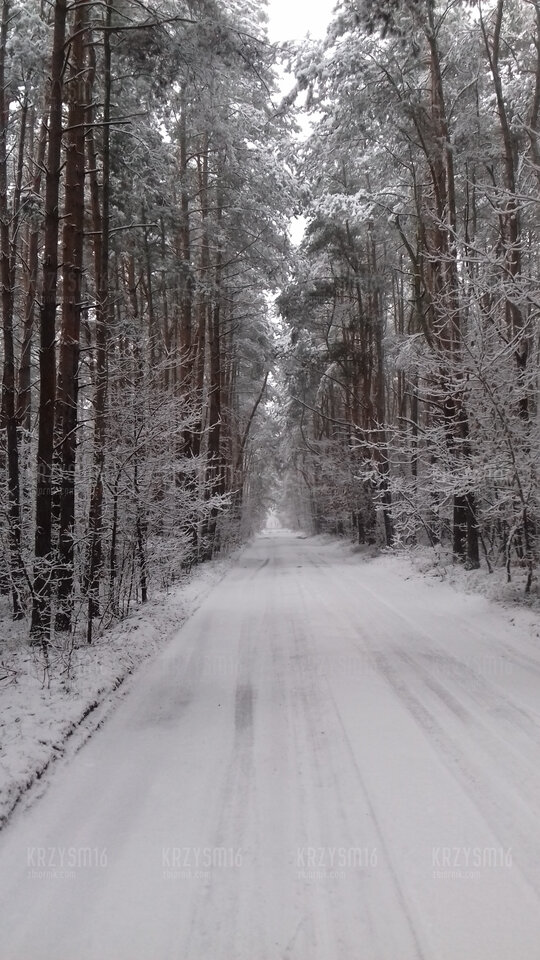 20210125_101517.jpg - krzysm16