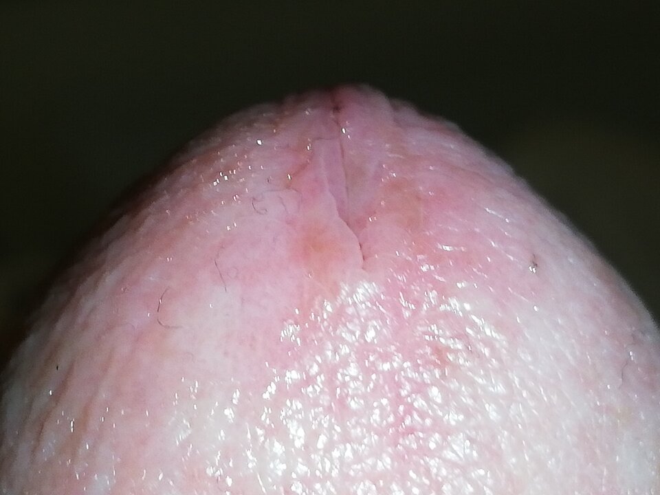 IMG_20210125_091510.jpg - Hilker