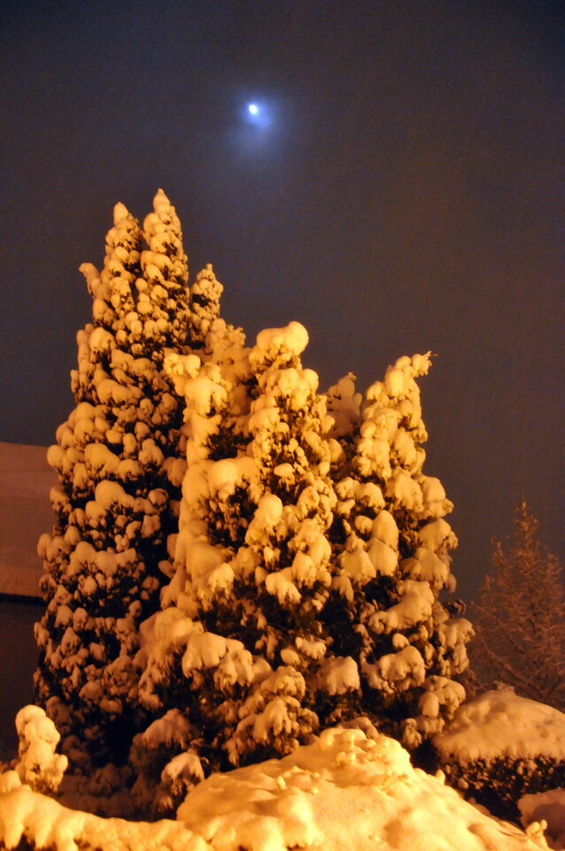 DSC_4430.JPG - demon13