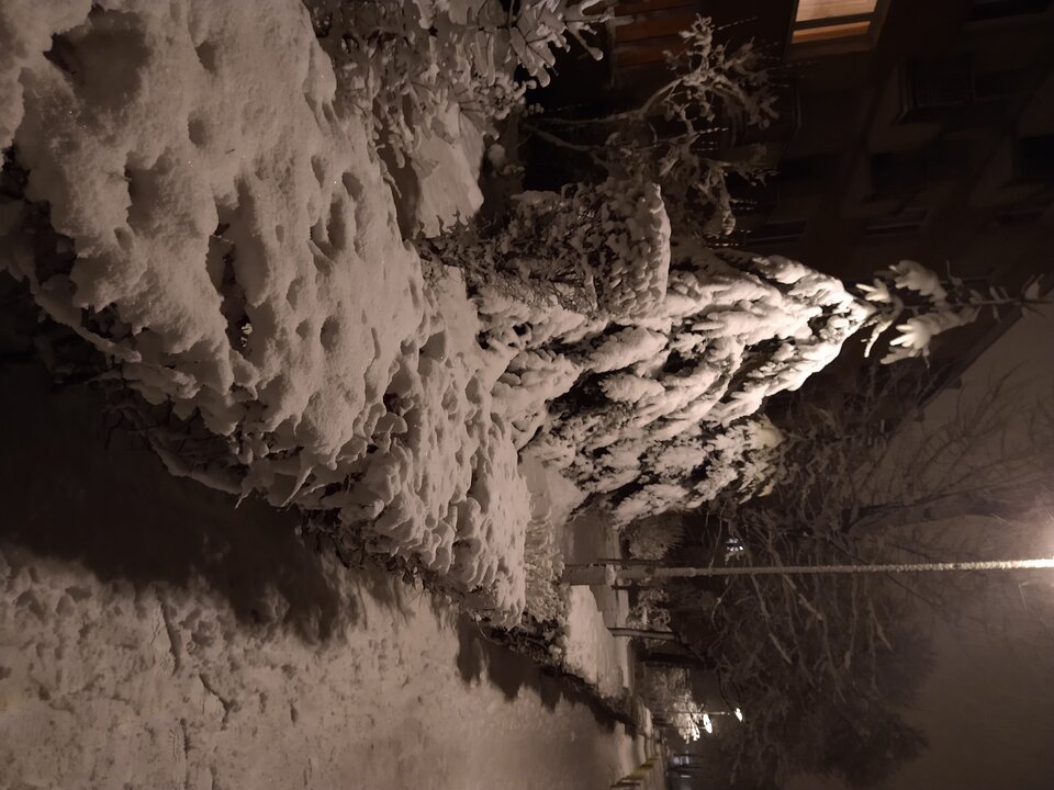 IMG_20210125_201739435.jpg - piotrlub