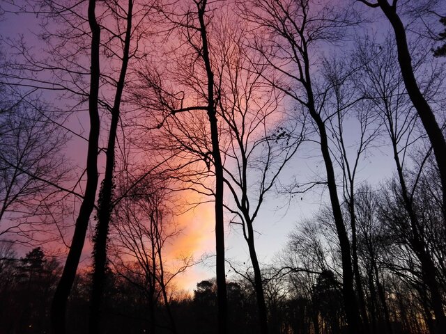 ksiezniczka_ciemnosci