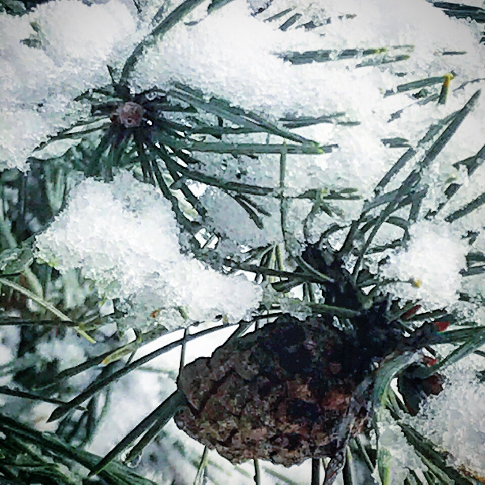 D0E5EB5A-E6CC-413D-9D22-900E643F3CC7.jpeg - Mekagojiranogyakushu