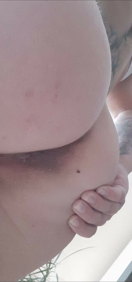 received_355505262455647.jpeg - onaion1234568