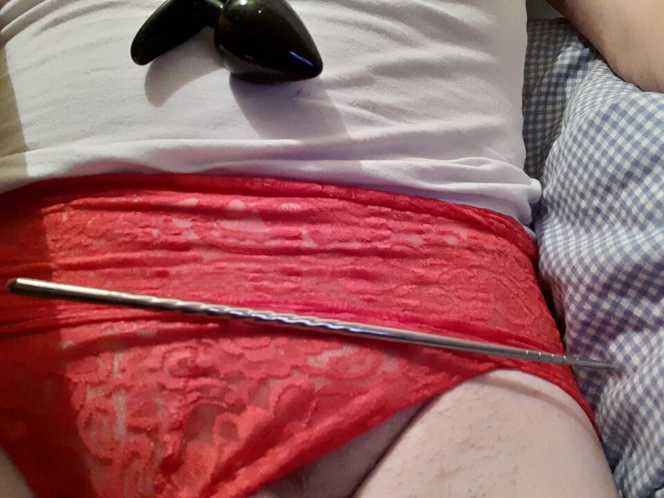 16118642567692056797996583377373.jpg - Palciusia