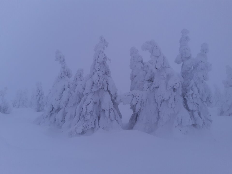 20210114_153528.jpg - rodzynkii