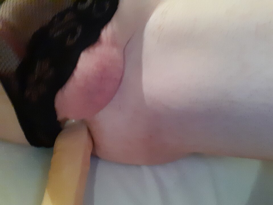 16119524197017621035944215032269.jpg - Palciusia