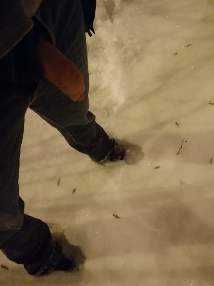 Dla laski ze snapchata.. 2021-01-18 - Nalogowy_onanista