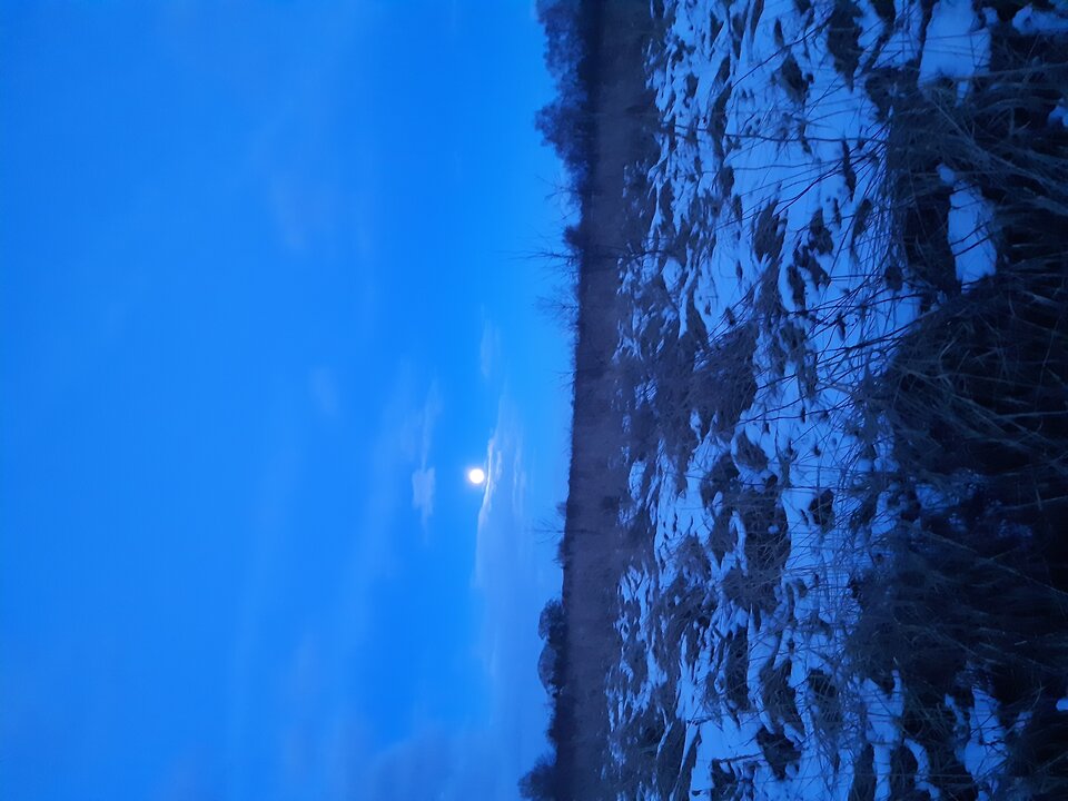 20210128_170413.jpg - torii99