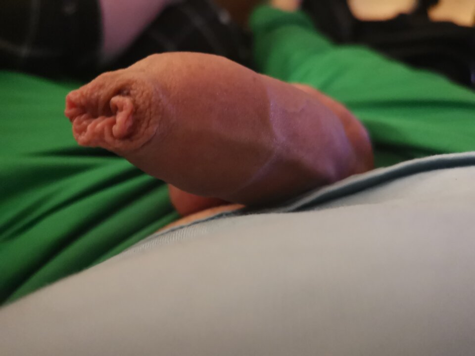 16120400991904593495395353562404.jpg - Voresfraekkeliv