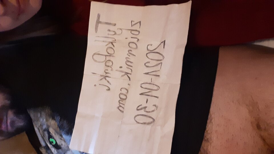 16120460842371684294229850896614.jpg - TylkoParki