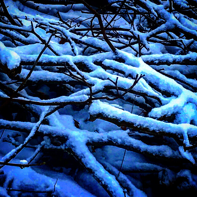 Mekagojiranogyakushu