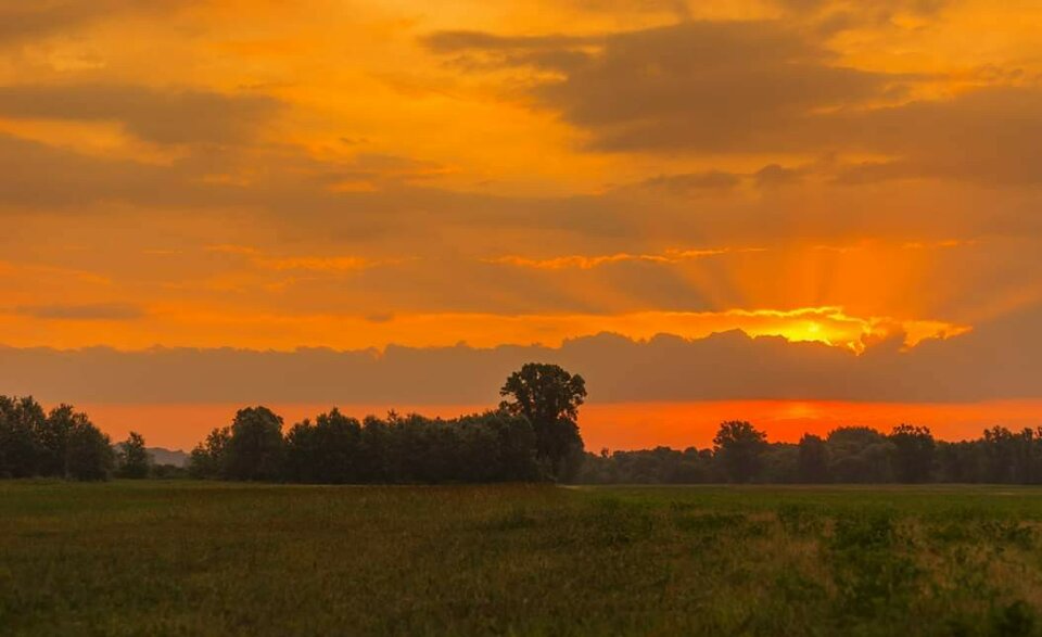 FB_IMG_1566315108465.jpg - delikatny1970