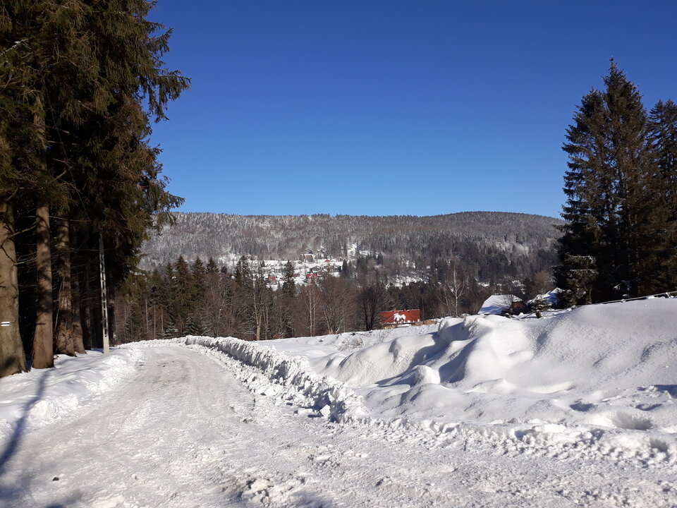20210131_110419.jpg - kajkah