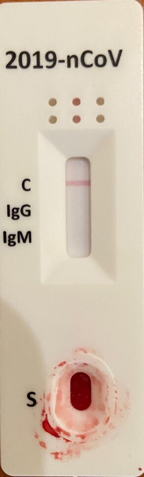 IMG_2498x.jpg - egoexpectantes