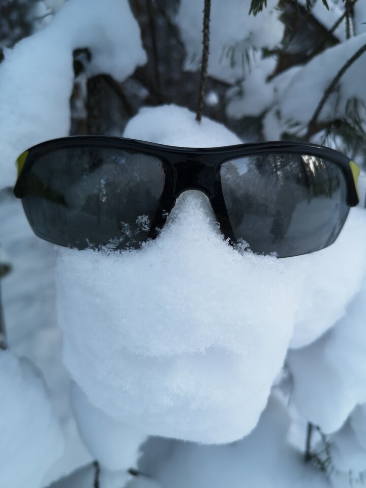 IMG_20210131_150004.jpg - MARCIN0440