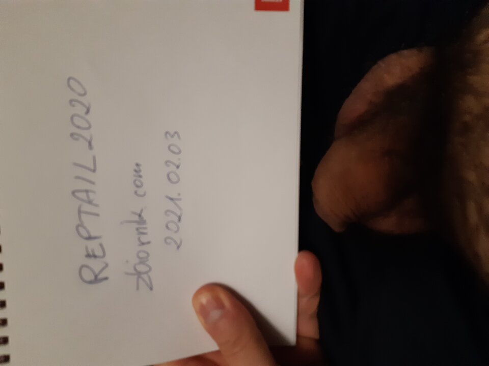 IMG_20210203_0314088564864032057438263.jpg - reptail2020