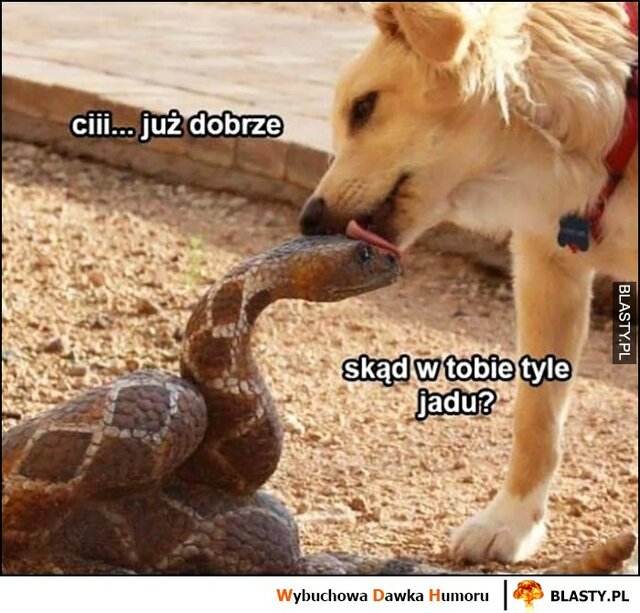 cii-juz-dobrze-skad-w-tobie-tyle_2019-11-12_02-43-01.jpg - mam0n