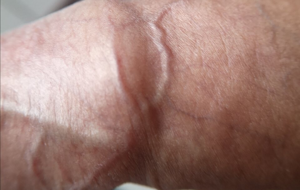 IMG_20210204_152549.jpg - dworzan87