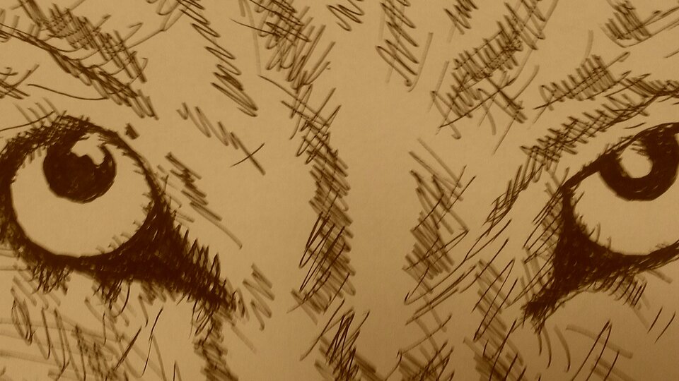 2021-02-04 09.06.23.jpg - zboku10wsb