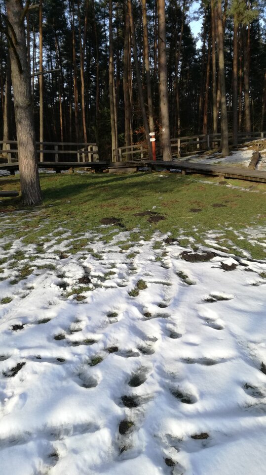 IMG_spotkankoA.jpg - piotrlub