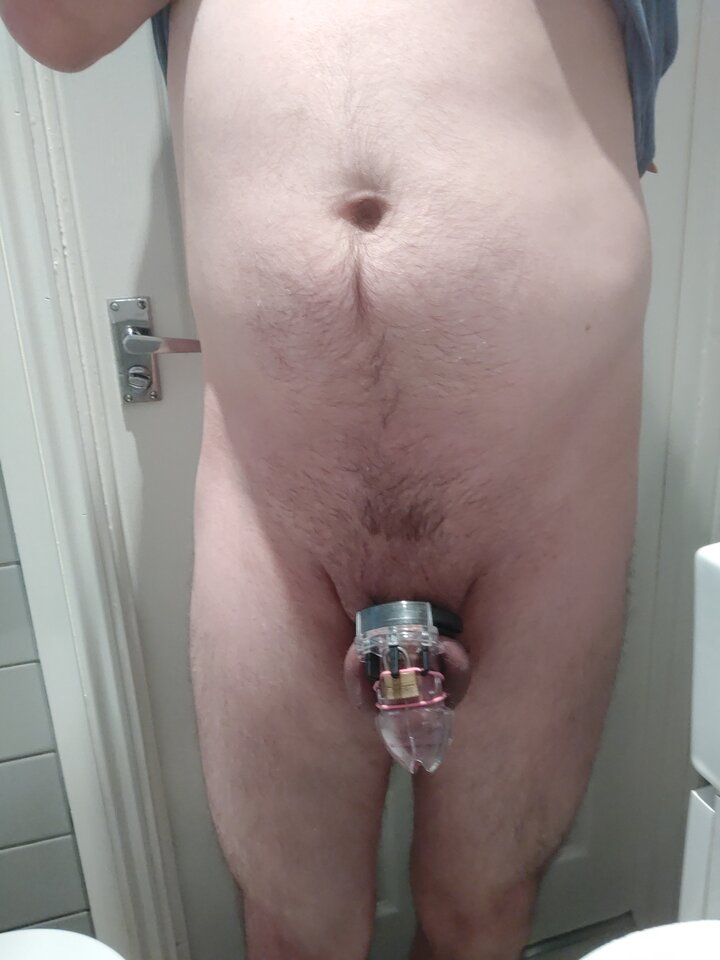 16126920459566273013817274763766.jpg - widzget