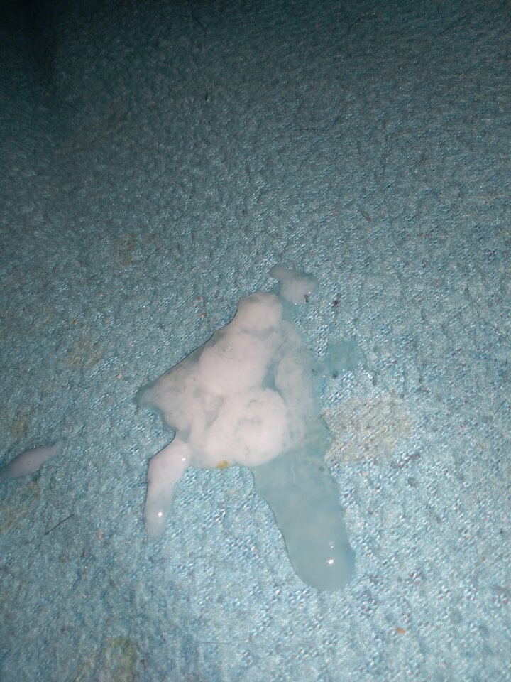 IMG_20210208_004509.jpg - cinek994