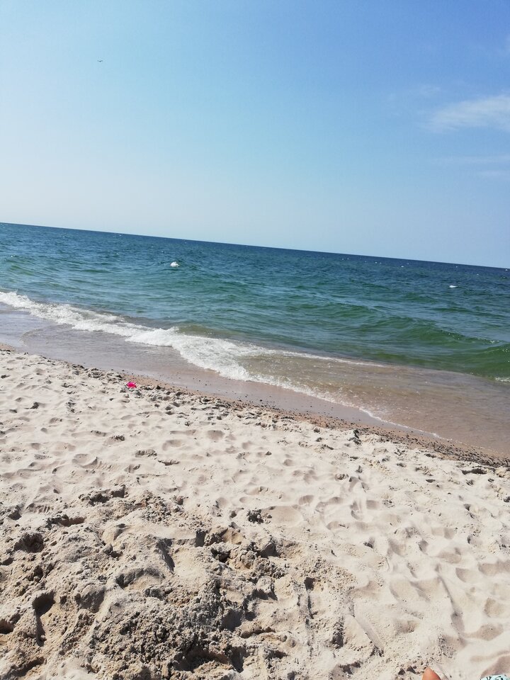 IMG_20200807_143813.jpg - lulu01