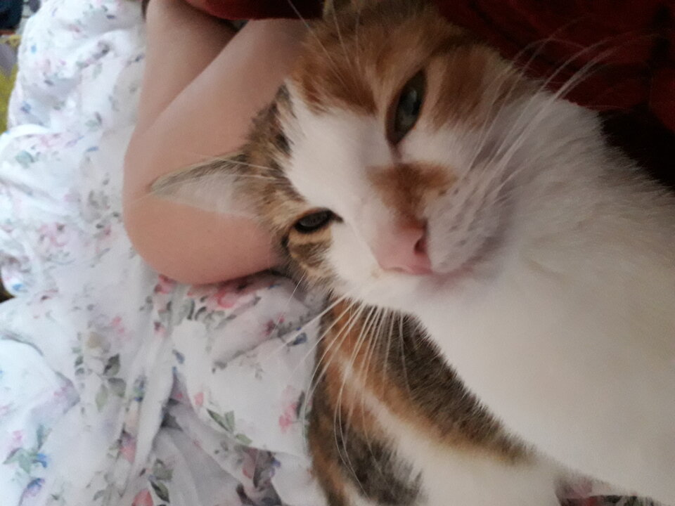 20210208_135028.jpg - Nuteczek101