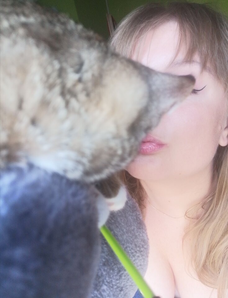 Kici kici 🐈 - 3city3some