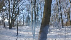 IMG_20210206_123504338.jpg