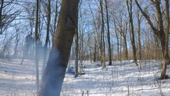IMG_20210206_123509024.jpg