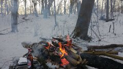 IMG_20210206_154039451.jpg