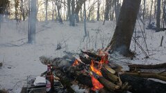 IMG_20210206_154030597.jpg