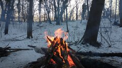 IMG_20210206_163740695.jpg