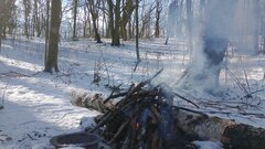 IMG_20210206_123523950.jpg