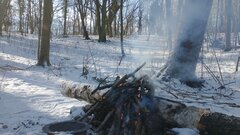 IMG_20210206_123521836.jpg