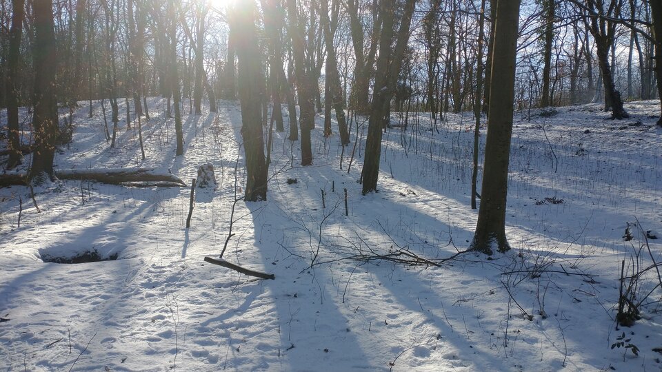 IMG_20210206_123501239.jpg - tomek3576