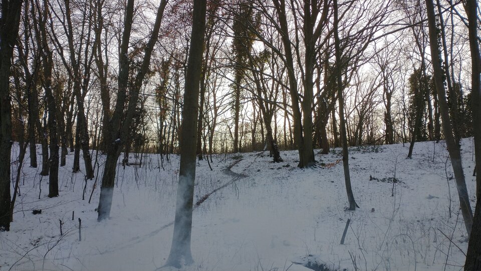 IMG_20210206_154213358.jpg - tomek3576