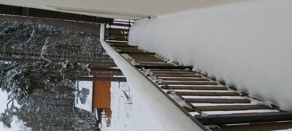 20210209_124634.jpg - bialy198