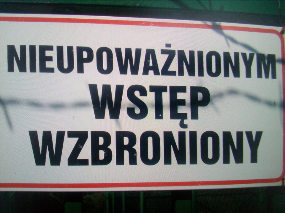 IMG_20210210_095216.jpg - kosik55