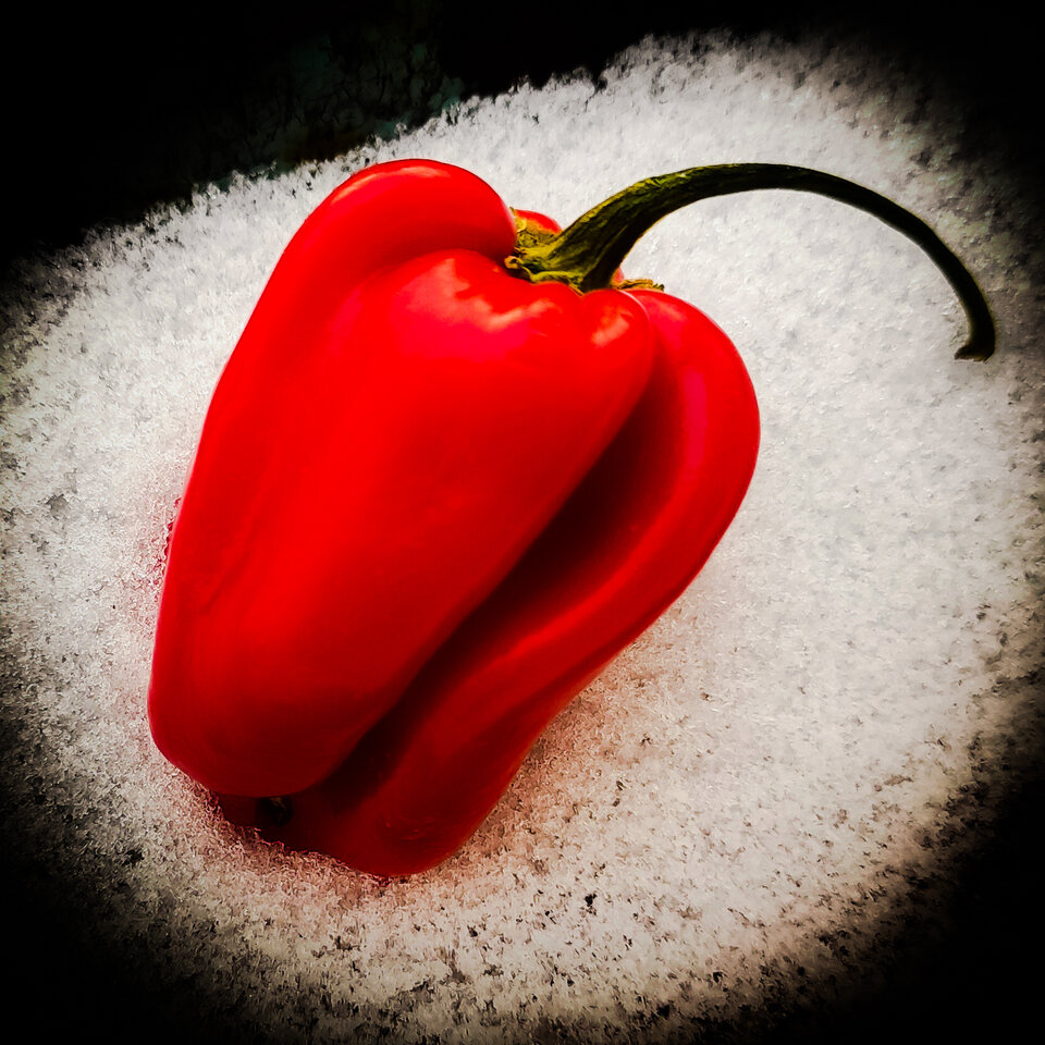 Habanero- spicy food, spicy life - addictedtosex